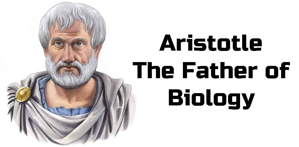 Aristotle Father of biology