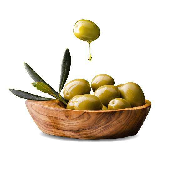 olive oil - AllNewsStory