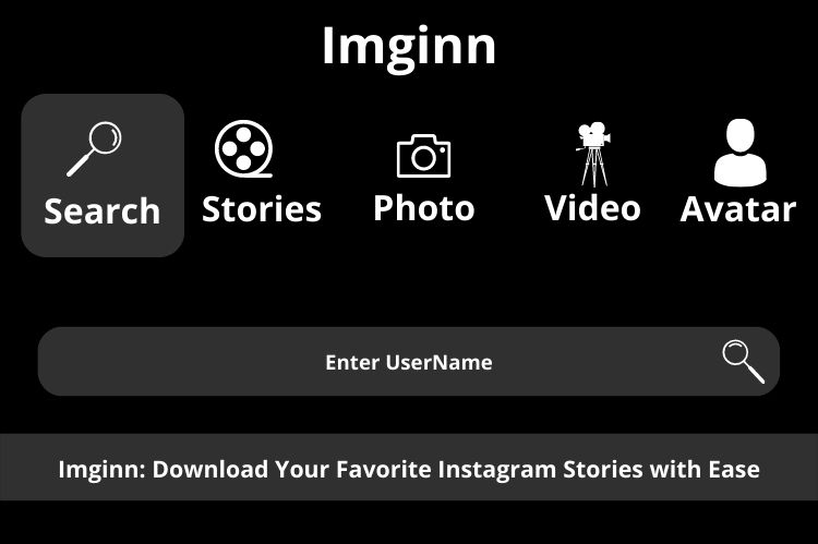 Imginn app for Instagram