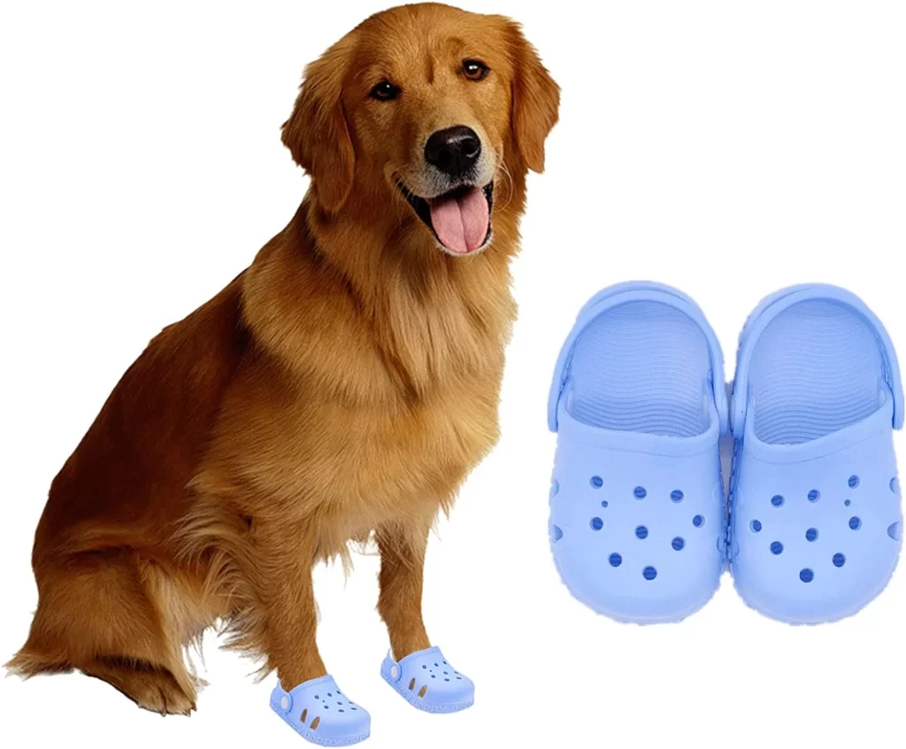Crocs for Dogs