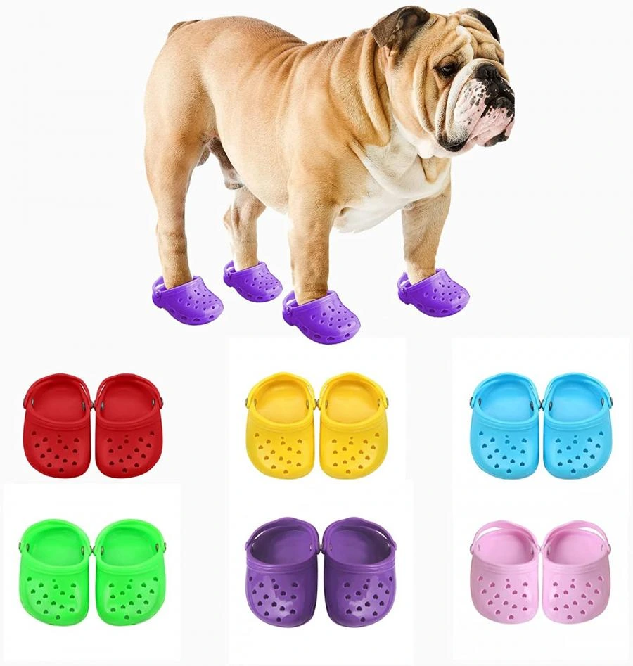 Crocs for Dogs Comes to the Rescue – If Want to Match Footwear with Your Dog