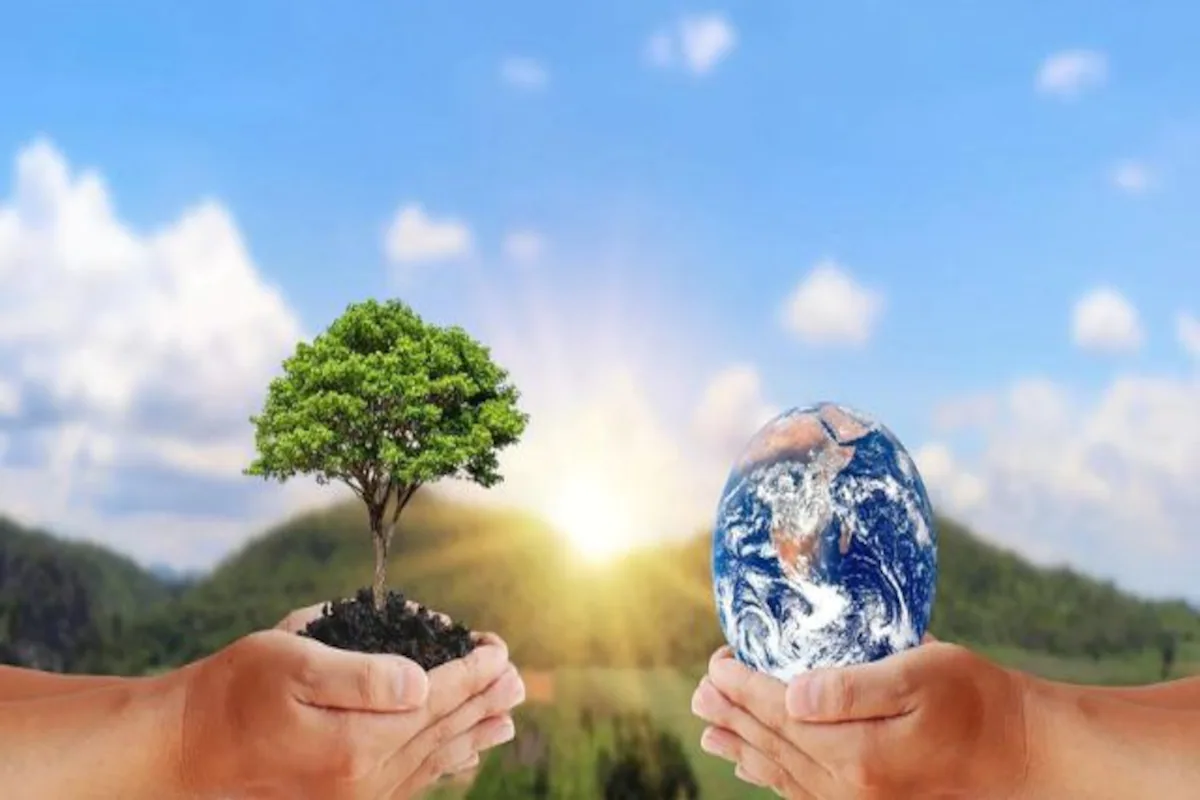 How Can Blockchain Save The Environment? The Major Uses Of Green Blockchain