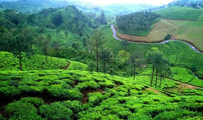 Vagamon