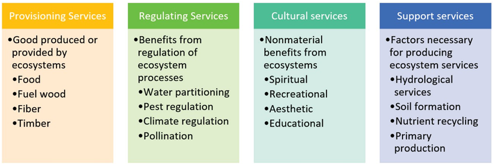 Ecosystem Services