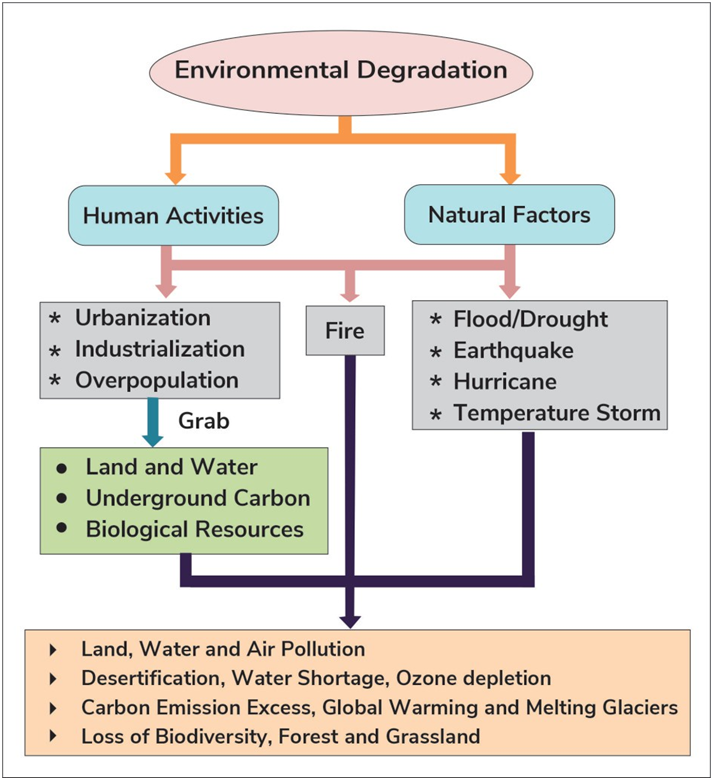 Causes of Environment Degradation