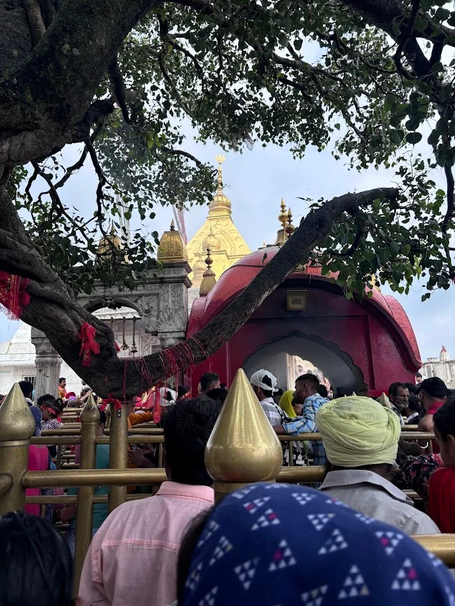 Naina Devi temple is situated in the Bilaspur District